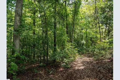 00 Cheek Road #Lot 19, Gray Court, SC 29645 - Photo 12
