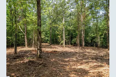 00 Cheek Road #Lot 19, Gray Court, SC 29645 - Photo 16
