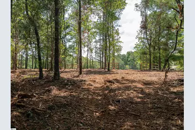 00 Cheek Road #Lot 19, Gray Court, SC 29645 - Photo 10