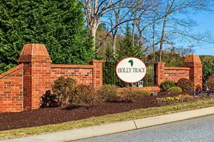 11 Holly Trace, Simpsonville, SC 29681 - Photo 46