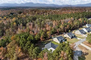 580 Canewood Ln, Campobello, SC 29322 - Photo 48