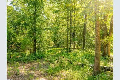 1955 E Georgia Road, Woodruff, SC 29388 - Photo 40