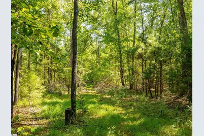 1955 E Georgia Road, Woodruff, SC 29388 - Photo 38