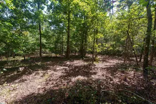 00 Liberty Hwy, Liberty, SC 29657 - Photo 16