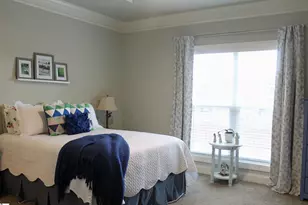 203 Palmetto Farms Way, Pelzer, SC 29669 - Photo 14