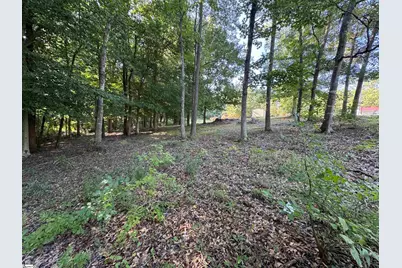 252 Currys Lake Circle, Gray Court, SC 29645 - Photo 6