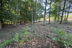 252 Currys Lake Cir, Gray Court, SC 29645 - Photo 6