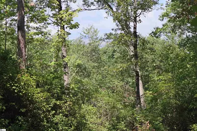 [Address not provided], Pickens, SC 29672 - Photo 6