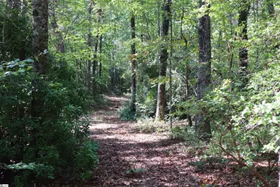 [Address not provided], Pickens, SC 29672 - Photo 10
