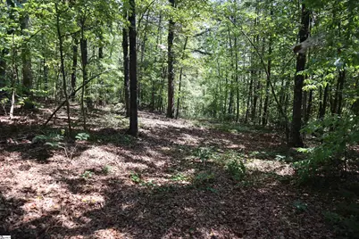 [Address not provided], Pickens, SC 29672 - Photo 12