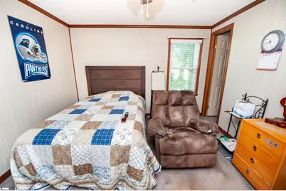 218 Goodjoin Road, Landrum, SC 29356 - Photo 20