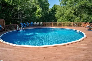 218 Goodjoin Rd, Landrum, SC 29356 - Photo 28