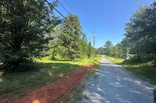 162 Lancaster Rd, Forest City, NC 28043 - Photo 20