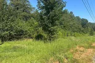 162 Lancaster Rd, Forest City, NC 28043 - Photo 14