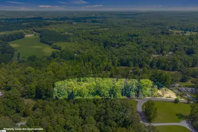 230 Campbell Mill Road, Travelers Rest, SC 29690 - Photo 6