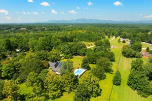 2394 Big Mulberry Trace, Campobello, SC 29322 - Photo 46