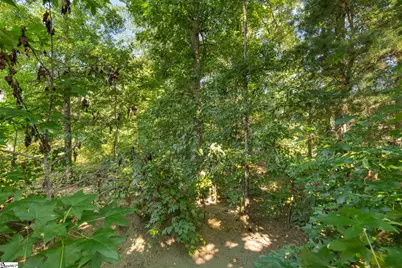 304 Chamblee Boulevard, Greenville, SC 29615 - Photo 8