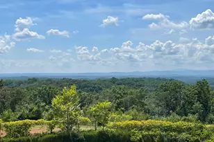 297 Woodall Mountain Rd, Pickens, SC 29671 - Photo 8