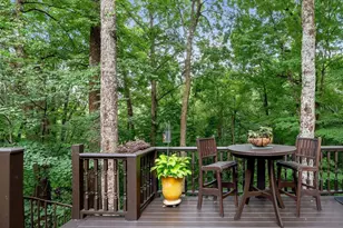 110 Panther Mountain Rd, Zirconia, NC 28790 - Photo 28