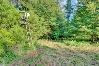 542 Browns Creek Church Road, Union, SC 29379 - Photo 24
