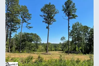 131 Timberlake Drive, Inman, SC 29349 - Photo 4
