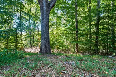 145 Pink Robinson Road, Woodruff, SC 29388 - Photo 24