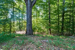 145 Pink Robinson Rd, Woodruff, SC 29388 - Photo 24