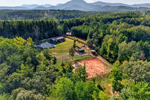 316 Oak Grove Rd, Landrum, SC 29356 - Photo 34