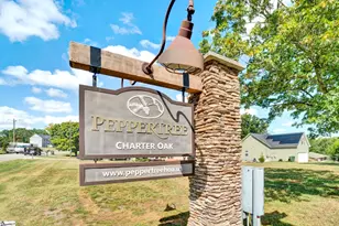 1105 Charter Oak Dr, Taylors, SC 29687 - Photo 44