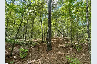 00 Riverfork Road, Waterloo, SC 29384 - Photo 32