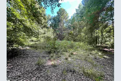 00 Riverfork Road, Waterloo, SC 29384 - Photo 20