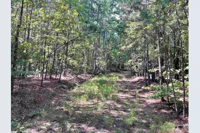 00 Riverfork Road, Waterloo, SC 29384 - Photo 18