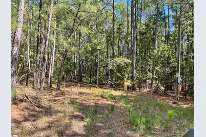 00 Riverfork Road, Waterloo, SC 29384 - Photo 14