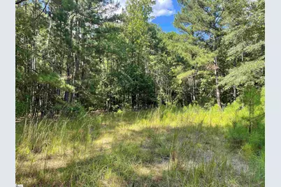 00 Riverfork Road, Waterloo, SC 29384 - Photo 16