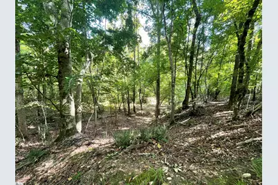 00 Riverfork Road, Waterloo, SC 29384 - Photo 22