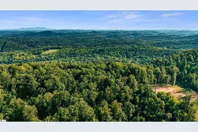 200 Chestnut Mountain Road #Lot 1, Travelers Rest, SC 29690 - Photo 2