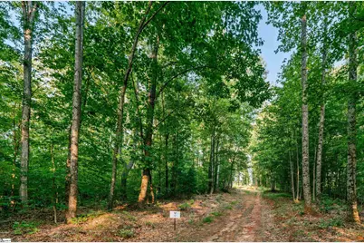 200 Chestnut Mountain Road #Lot 1, Travelers Rest, SC 29690 - Photo 6