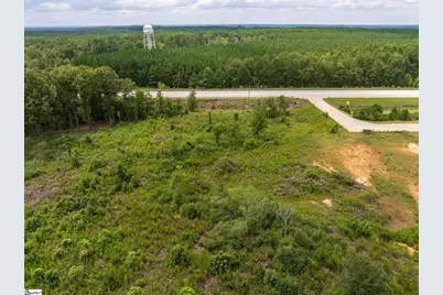 00 Puckett Ferry Road, Cross Hill, SC 29332 - Photo 14