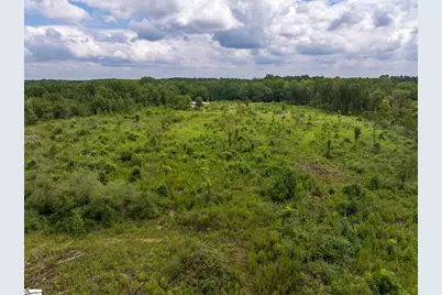 00 Puckett Ferry Road, Cross Hill, SC 29332 - Photo 4