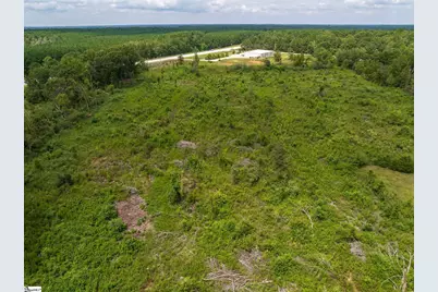 00 Puckett Ferry Road, Cross Hill, SC 29332 - Photo 2