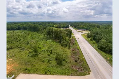 00 Puckett Ferry Road, Cross Hill, SC 29332 - Photo 16