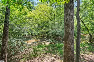 105 Wolf Run Dr, Simpsonville, SC 29681 - Photo 50
