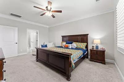 113 Yellow Fox Road, Greer, SC 29650 - Photo 20