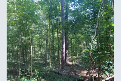 18812 Highway 72 East, Clinton, SC 29325 - Photo 18