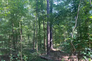 18812 Highway 72 E, Clinton, SC 29325 - Photo 18