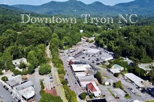 790 N Trade Ave Ext, Landrum, SC 29356 - Photo 24