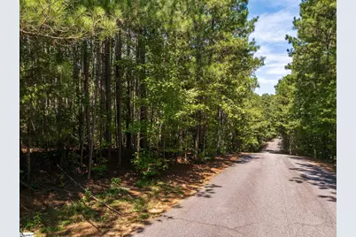 00 Hidden Springs Way, Cross Hill, SC 29332 - Photo 2