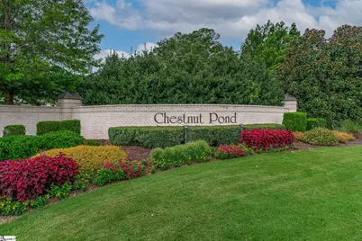 124 Chestnut Pond Lane, Simpsonville, SC 29681 - Photo 48