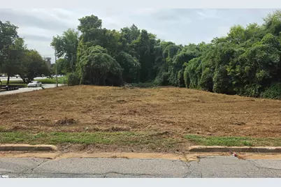 8587 Trescott Street, Greenville, SC 29601 - Photo 1