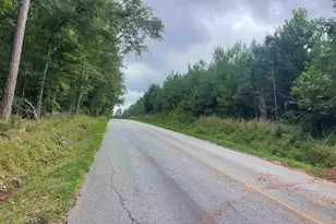 00 Holmes Bridge Rd, Laurens, SC 29360 - Photo 1